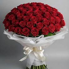 Букет 101 Красная роза Блэк Мэджик в Песчанке