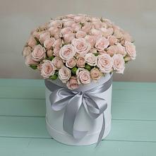 Цветочная композиция из Розы в шляпной коробке #REPLACE_PRED# Песчанке