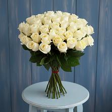 Букет 51 Белая роза Эдлесс Лав #REPLACE_PRED# Песчанке