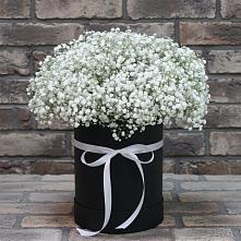 Цветочная композиция из Гипсофила в шляпной коробке в Песчанке