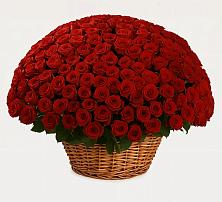 Премиум букет из: Розы в Песчанке